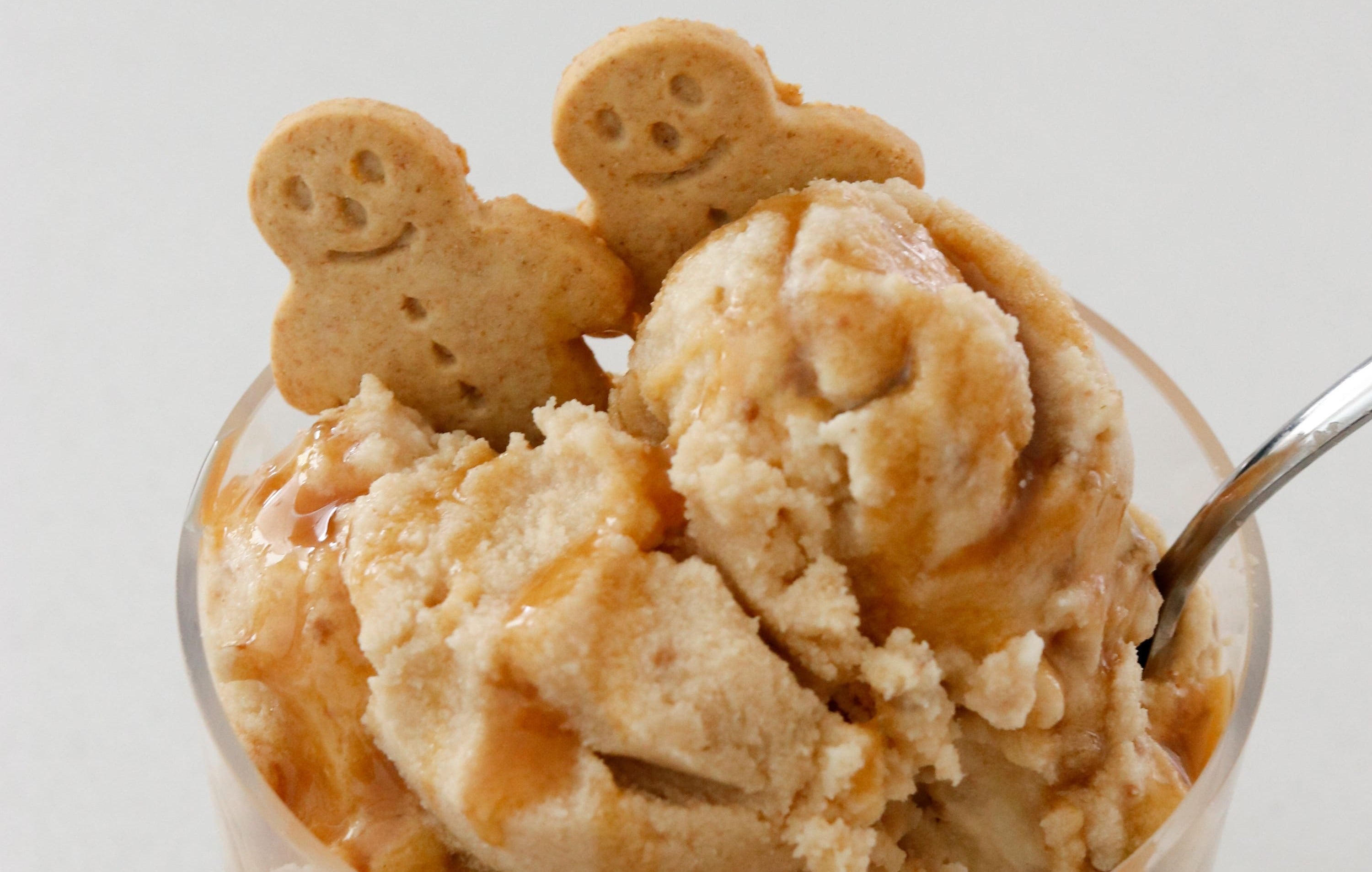 Gingerbread Flavoured Ice Cream Recipe Ninja Kitchen New Zealand